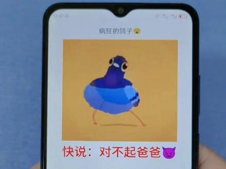 雷霆鸽子调戏同学代码,让好友难受#疯狂的鸽子#pigeonpop#恶搞代码#古菇顾#抽象