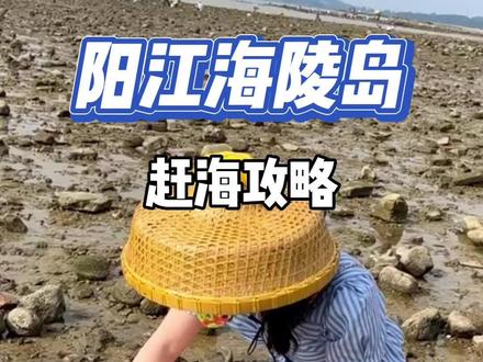 海陵岛中秋国庆遇上大退潮啦,想来赶海的朋友们,赶紧收藏好这份潮汐表#海陵岛旅游攻略 #赶海 #活动广东时尚湾区 #抖音心动目的地
