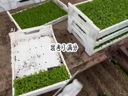 水温嘀咕 失^0^乎&康*厚*旭#熊出没 #第五人格 #不看完让你都睡不着 #水温嘀咕