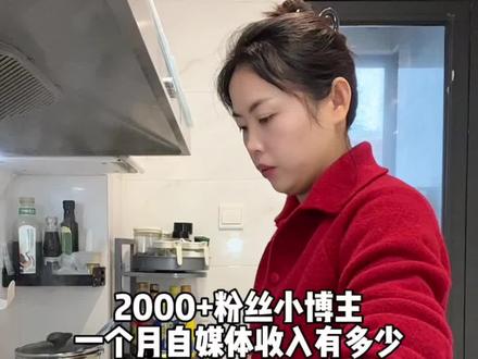 像我这样2000多粉丝的小博主做自媒体一个月能有多少收入?#宝妈 #vlog日常 #抖音上热门 #抖音助手#新的一天加油