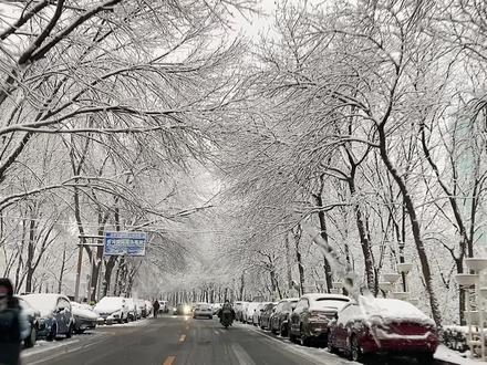胶衣初体验:浮力加持大大的!老鸟说穿胶衣自由泳都不用打腿? #日常训练 #游泳训练 #游泳 #健身 #游泳打卡 #训练