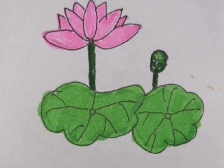 坚持学习#每天进步一点 #一起学习诗画#《采莲曲》唐.王昌龄#简笔画