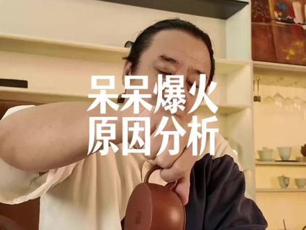 博主呆呆爆火背后的原因分析 #合川文旅 #呆呆 #鼎邦摄影