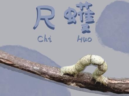 分享100种有趣的动物|第二期:
拟态大师-尺蠖
会cosplay,能平板支撑,休息都这么拼,你也想做刘畊宏女孩/男孩吗?#神奇动物在抖音 #动物的迷惑行为 #奇妙的动物