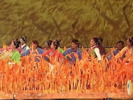 #西藏和平解放70周年 文艺演出精彩回顾!超级欢快的《洗衣歌》你听过吗?#演出现场