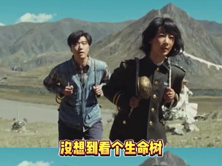 #生命树 咱们四个把日子过好比什么都重要 #白椿你小子要被邵云飞偷家了 #杨紫生命树演技获好评