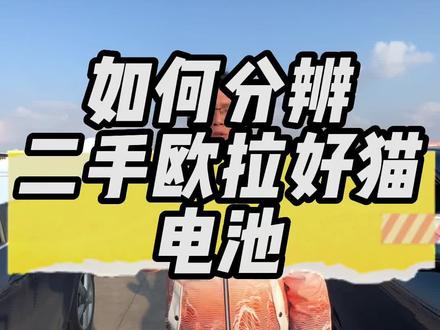 二手欧拉好猫如何分辨他是三元锂电池还是磷酸铁锂电池,如果是你们会在意用的什么电池吗?会怎么选择呢