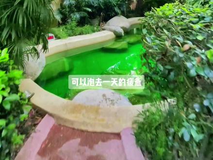 今晚住海丽宾雅,上午泡室外温泉♨️,下午游泳,晚上房间里面浴缸泡个澡🛀!
#五一去哪嗨 #享受这悠闲时光 #住进风景里 #享受生活 #旅行推荐官 #五一去哪儿 #惬意时光 #温泉泡池 #快乐就这么简单 #周末去哪玩 #愉快的一天 #跟着抖音去度假 #这店环境太好了 #休闲度假 #又是开心的一天 #向往的生活 #欢乐时刻 #开心一日游 #风景优美空气清新 #悠闲惬意