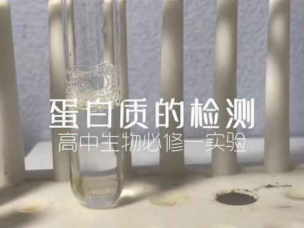#化学 #生物 #高中化学 #高中生物 蛋白质的检测 @SiYy