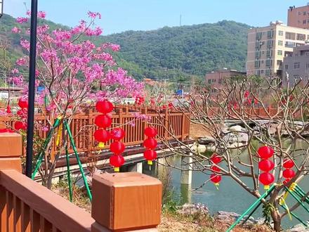 #秀出家乡美 电城休闲公园