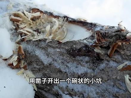 荒野生存小技巧,一起来看看 #野外生存 #荒野生存 #生存技巧