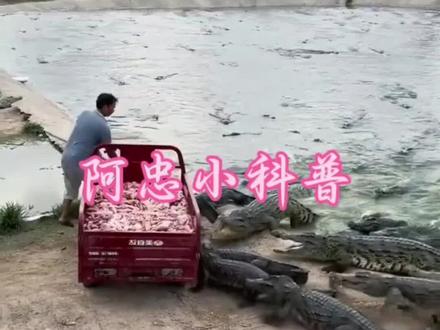 阿忠小科普#涨知识#百科全书#知识分享#科普知识#