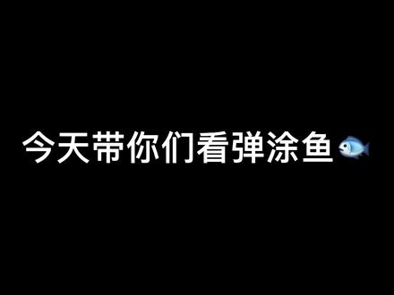 弹涂鱼超级可爱呀!你们还有什么新奇的宠物推荐嘛?养!#弹涂鱼 #萌宠出道计划 @嘉哥的宠物乐园🐑