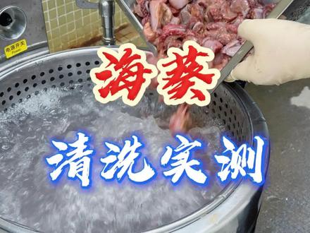 有个老板想看洗海葵,啤水机到底能不能洗干净呢?记得来看直播! 啤水机清洗海葵,现场实测,一起见证吧!#海葵 #啤水机 #实测 #天力机械 #粤天力