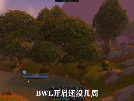 魔兽世界:祖尔格拉布即将开放,声望奖励堪称豪华