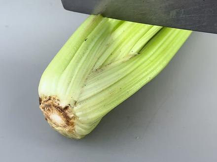 3月份我切下芹菜根和香菜根种进土里,没想到居然长成了这样…#种芹菜 #盆栽种植 #种植的乐趣 #抖音商城 #盆栽蔬菜