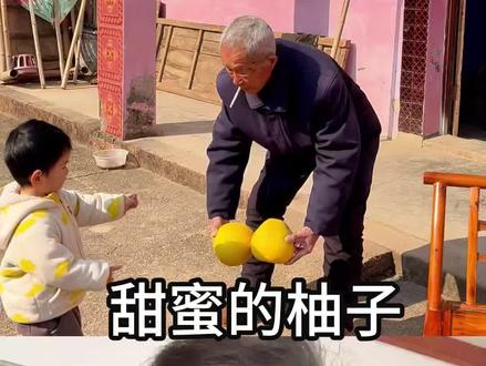 阿太家的柚子#小学生作文 #夕林讲看图写话