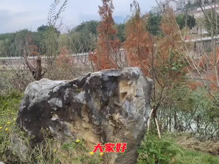 长途骑行如何找到最佳露营地,看这个视频你就懂了