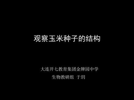 初中 生物学实验操作考试-观察玉米种子的结构 #实验