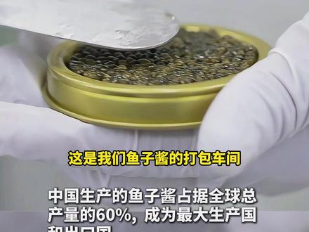 江西上饶生产的鱼子酱,首次出口到迪拜。中国生产了全球60%的鱼子酱。#江西上饶 #鱼子酱 #挑动味蕾 #出口迪拜 #世界美味