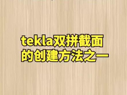 tekla双拼截面的创建方法之一#tekla教学 #tekla培训 #钢结构 @DOU+小助手 @抖音小助手