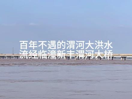 百年不遇的渭河大洪水流经临潼新丰渭河大桥