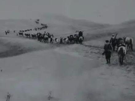 俄国是如何盗走中国西夏的文物?#历史 #冬宫 #沙俄 #西夏