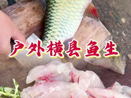 横县鱼生 #横县鱼生 来了哦来表们,鱼生搞起#我最爱的家乡特色美食