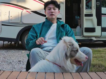 如何判定自家狗子是否肥胖,并且怎么制定减肥计划两个方法教会你。#胖狗 #狗狗减肥 #抖音萌宠 #科学养宠攻略