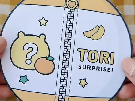 自制拉链盲袋,含教程#手工 #手工diy #玩具 #盲盒 #自制盲盒