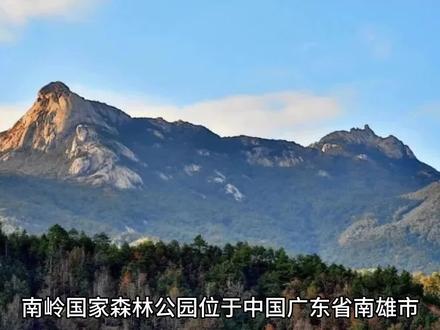 #南岭森林国家公园#广东旅游#旅游推荐#环行中国#逍遥子书中国游@@@@@@@