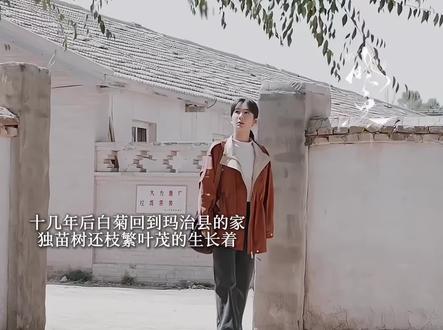 多年后白菊回到玛治县城的家,独苗树依旧枝繁叶茂,可是当时的人再也聚不齐了,白菊也没了当年的稚气,变得成熟了,邵云飞融入巡山队,和白菊患难见真情,两个人有一个女儿,多杰牺牲后,白菊代替了他