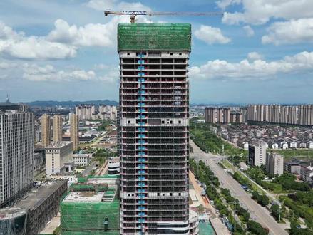 带你一分钟了解工程建设的前期流程!#可行性研究报告 #前期立项 #项目实施 #林业碳汇 #可研报告