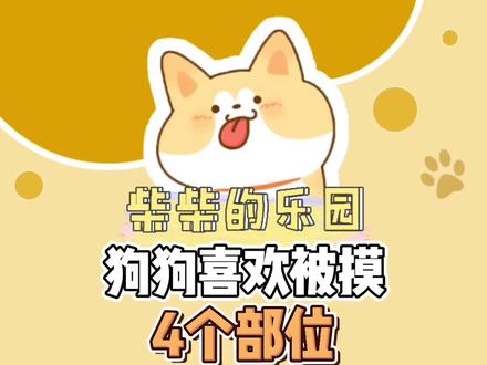狗狗喜欢被蹂躏这几个部位,铲屎官放心撸!#萌宠 #萌宠出道计划 #狗狗 #铲屎官的乐趣 #养宠进阶指南