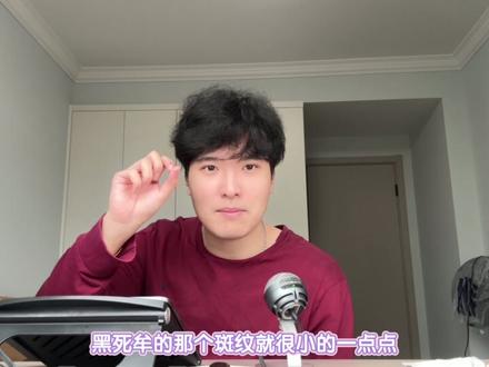 上弦之一VS浦东第一,分析黑死牟和宇宙中心哪个更加厉害 #上弦 #黑死牟 #周浦 #南汇王牌周浦镇 #上弦一