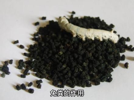 兔粪有机肥作用大 #有机肥