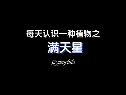 真爱、纯洁、思念、默默守候的爱#花语 #满天星 #情感共鸣