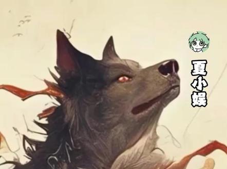 这是十二生肖系列最公平的了 #十二生肖 #十二生肖偏心 #狗 #搞笑