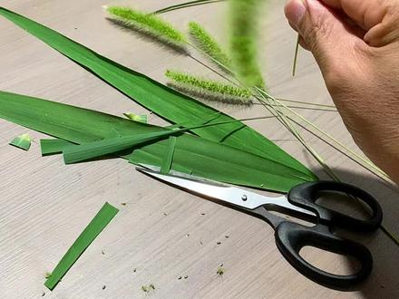 #狗尾草,草编风车教程