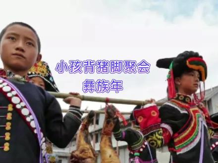 每年的11月20日,大凉山彝族忙着半夜三更起来,杀大猪,热闹非凡 #上新了凉山 #彝族 #过新年