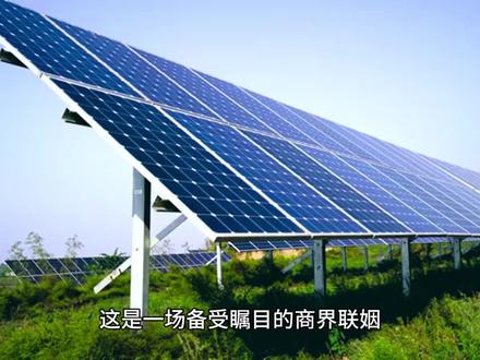 霸王茶姬与天合光能联姻