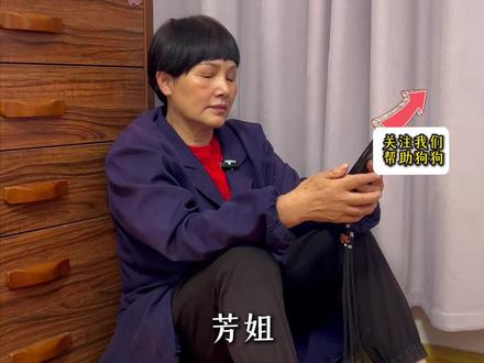 怎样在芳姐流浪狗基地领养#芳姐流浪狗爱心基地