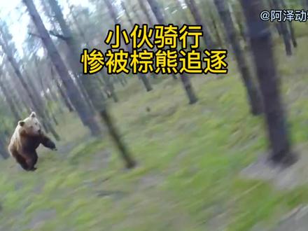 小伙骑行惨被棕熊狂奔追逐,上演现实版速度与激情#山地骑行 #爬行动物#纪录片充电计划