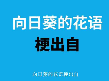 向日葵的花语是什么梗 #搞笑 #沙雕 #向日葵的花语 #植物大战僵尸 #向日葵的花语聊天记录