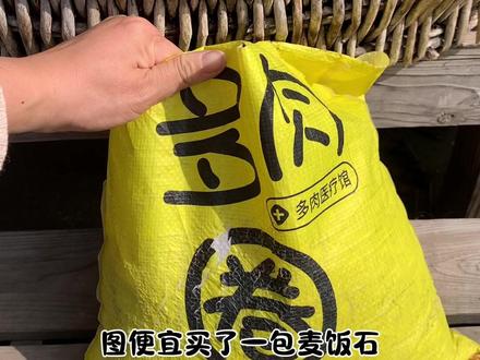 价格便宜质量还不错的麦饭石 价格便宜质量还不错的麦饭石#养花 #多肉植物 #多肉 #多肉养护