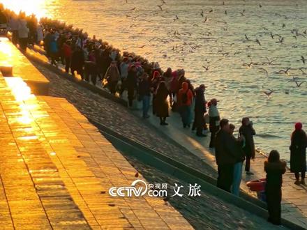 约会哈尔滨,冰雪暖世界。2026春晚分会场之一的哈尔滨,一年四季都有魅力~#春晚分会场哈尔滨 #冰雪魅力 #带你看世界