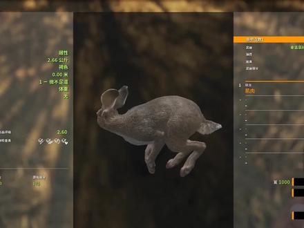 猎人:荒野的呼唤 猎兔人 #猎人荒野的呼唤 #游戏精彩时刻 #游戏日常 #steam游戏