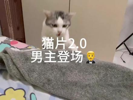 王发财身体在好转的时候我就在考虑要不要带他去绝育,但是那个时候还是隔几天会咳嗽一次,犹豫的原因是王发财虽然没绝育,但是他很乖,不会乱拉乱尿,就是晚上会回发发情踩一下小毯子,也不会嗷嗷叫,我也自己考虑过,能不能接受他每天晚上吵那几分钟,就这么一直到王发财三岁。七月份的时候我去参加了一次爱心领养的义工活动,遇到一个小姐姐带着他的猫来参观,聊天的过程中得知她的上一只猫咪是做绝育留在了手术台上,现在对于猫咪绝育也比较排斥,手上的肥猫猫是没做绝育的,把这个事情放在了王发财身上想一下,同居一年多,我是不能接受王发财没有的,再加上他的呼吸道疾病,感觉他留在手术台的概率会超过50%,麻烦点就麻烦点吧,还是希望王发财健健康康平平安安的。🤱🏻
#踩奶猫 #猫咪的迷惑行为 #云撸猫 #猫咪发情 #猫咪发情怎么办