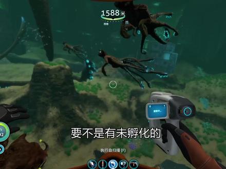 深海迷航33:我孵化出了小海皇,身上感染的细菌终于得以清除了