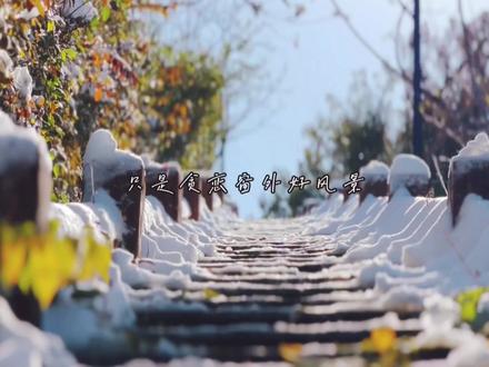 我们可不可以像这场雪一样 一起漂 一起落 一起走到最后#手机摄影#摄影技巧#摄影教学 #雪 #济南 #冬日暖阳 #大雪#iphone13